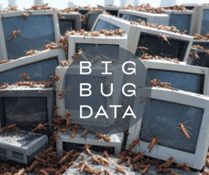 Big Bug Data - dataist dystopia